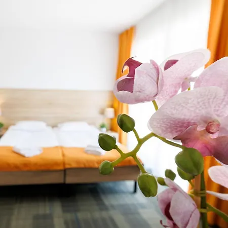 Lägenhet Seo2 - Z Osobnym Wejsciem, Grzany Basen, Darmowe Sauny, Parking, Grill, Wifi