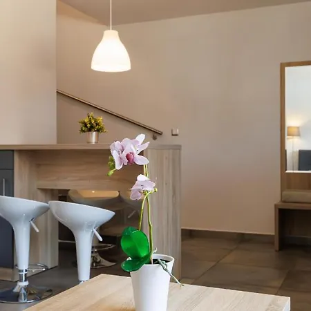 Apartamento Seo2 - Z Osobnym Wejsciem, Grzany Basen, Darmowe Sauny, Parking, Grill, Wifi