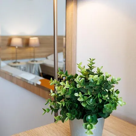 Lägenhet Seo2 - Z Osobnym Wejsciem, Grzany Basen, Darmowe Sauny, Parking, Grill, Wifi *